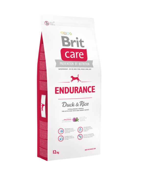 12kg_endurance