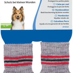 221230_PHO_PRO_CLIP_19502-2