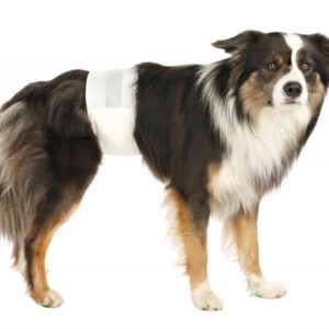 224119_PHO_PRO_DOG_CLIP_23641-23643-1