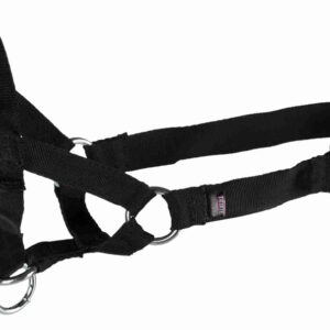 228779_PHO_PRO_CLIP_13002-13003-13004-13005-13006-13007-1