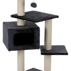 176546_PHO_PRO_CLIP_43787-1