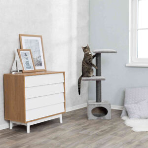 184971_PHO_PRO_CAT_43827-1