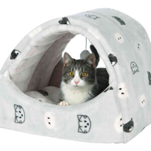 220246_PHO_PRO_CAT_CLIP_36847-1