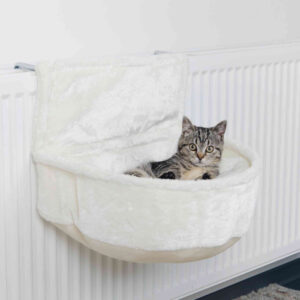 223781_PHO_PRO_CAT_43140-2