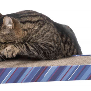 230049_PHO_PRO_CAT_CLIP_4327-1