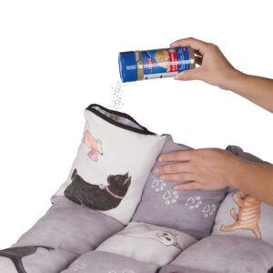 240664_PHO_PRO_USE_CLIP_37074-1