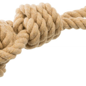 214681_PHO_PRO_CLIP_32632-2