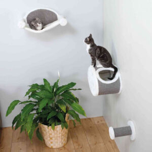 234466_PHO_PRO_CAT_49920-49921-49922-1
