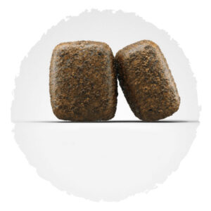 nature-energetic-zoom-3