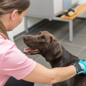 PHO_PRO_USE_23394-4_#SALL_#AWK_#V1