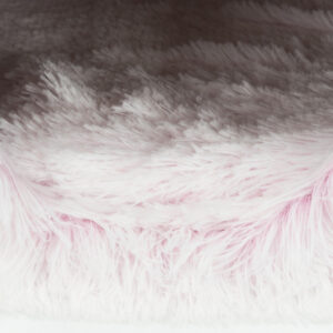 245926_PHO_PRO_DET_44539-1