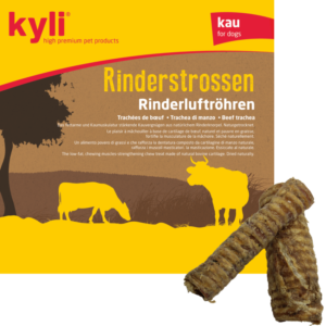 4028_Rinderstrossen-850x850