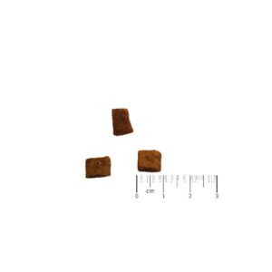 kyli-dogbiscotti-m-gruenlippmuschel-200g-2601-2