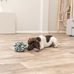 PHO_PRO_DOG_32047-5__23SALL__23AWK__23V1