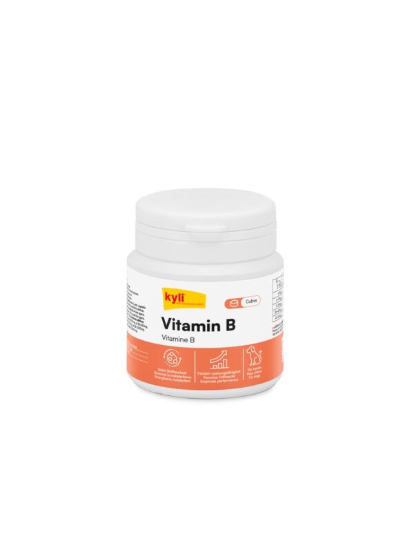 4804_Cubes-VitaminB
