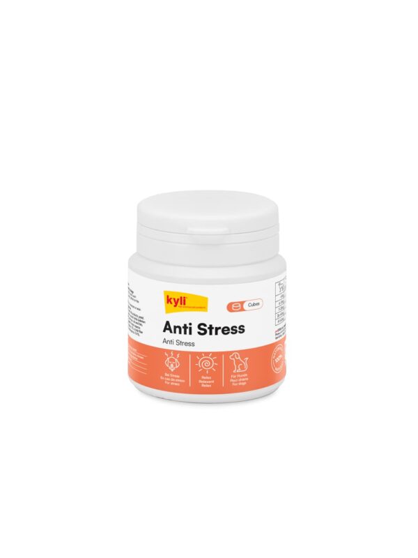 4805_Cubes-Antistress