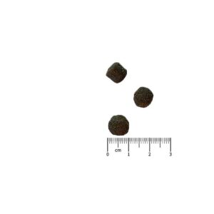 kyli-energie-plus-20-kg-2233-2