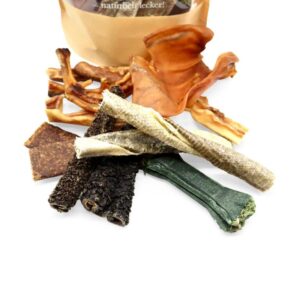 healthydog_produkte_canadoo_kauspass-mix_l_detail-768x768