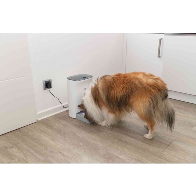 PHO_PRO_DOG_24343-4_23SALL_23AWK_23V1.jpg PHO_PRO_DOG_24343-4_23SALL_23AWK_23V1.jpg