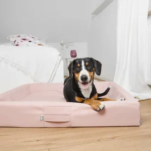 Hundebett-orthopaedisch-ammifordogs-softrose-1