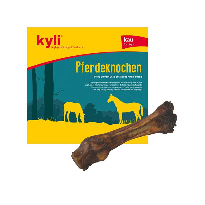 kyli-pferdeknochen-4106-1 kyli-pferdeknochen-4106-1