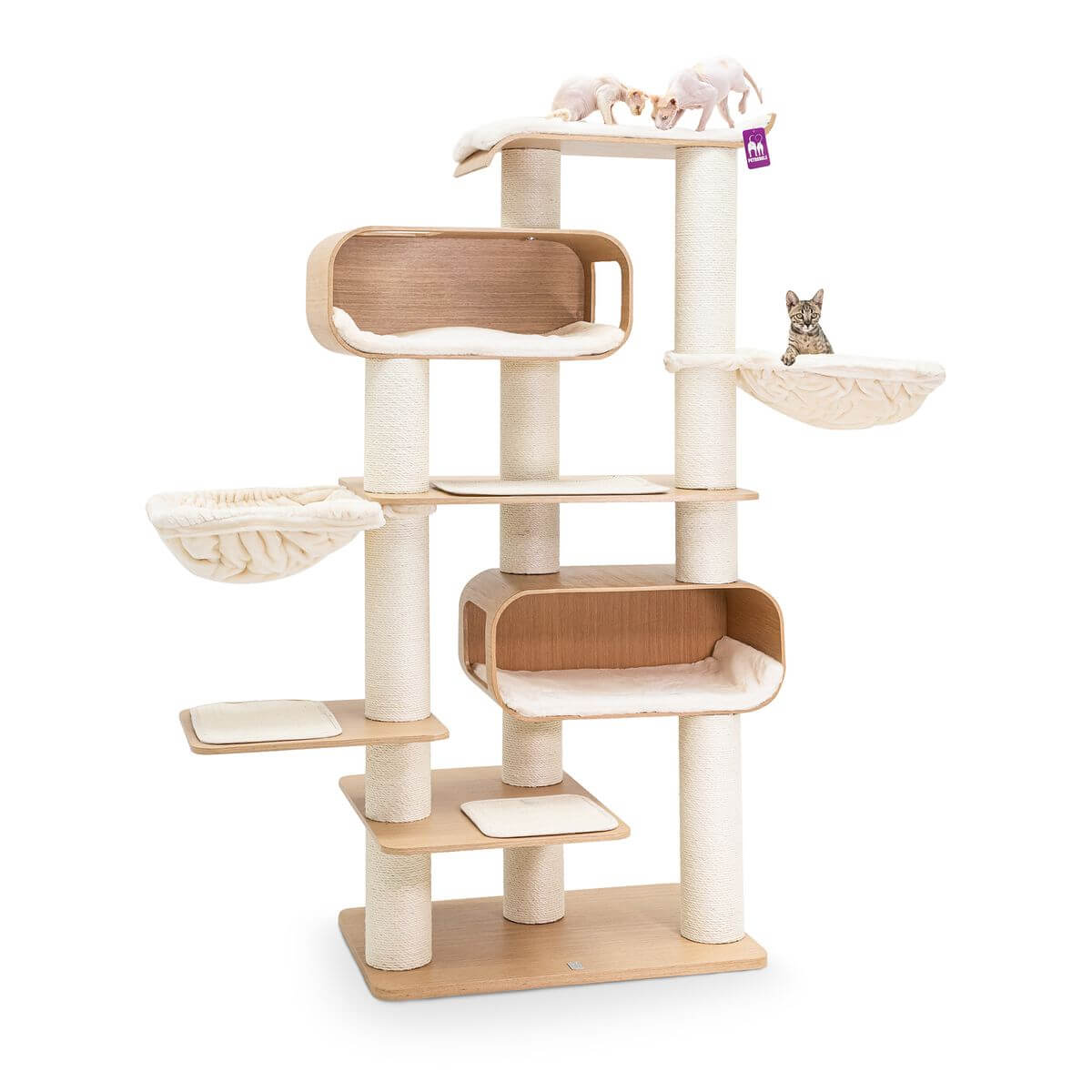 06c7ab88405bf08add78e31d4563aee06e03a8c7-8720157339380-2 06c7ab88405bf08add78e31d4563aee06e03a8c7-8720157339380-2