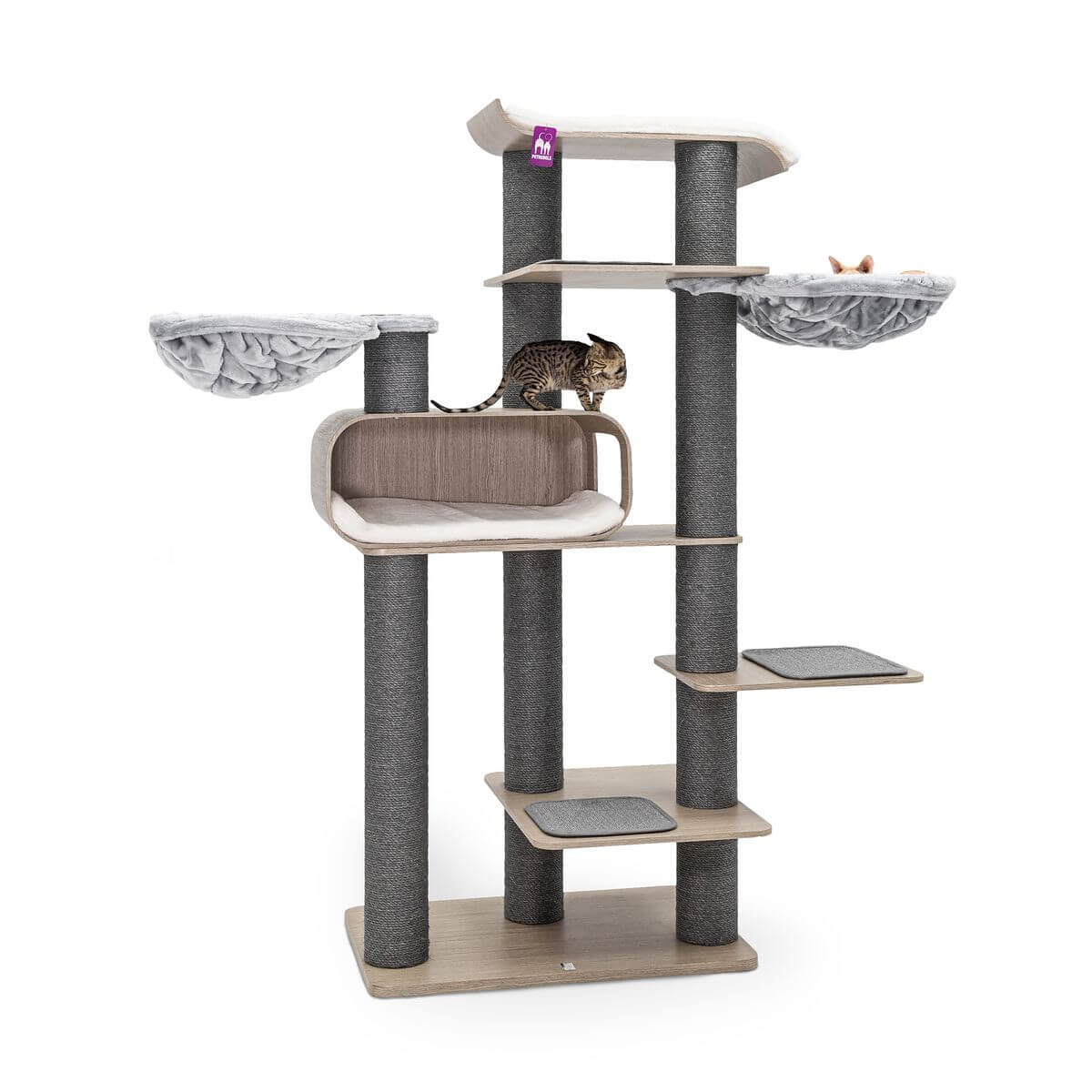 579f1ee94b0ace6e79e829c54a1413bcdafab193-8720157339427-2 579f1ee94b0ace6e79e829c54a1413bcdafab193-8720157339427-2