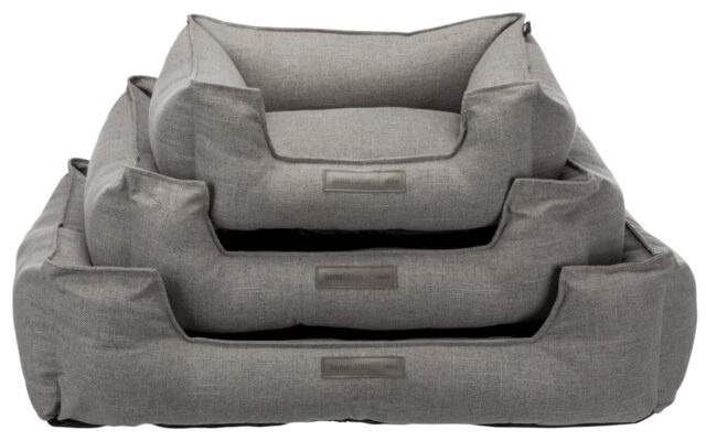 T37582_gr-640x400 T37582_gr-640x400