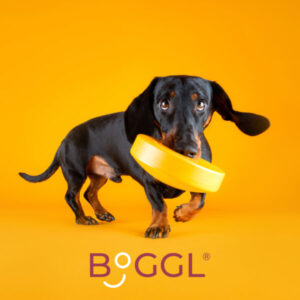 BOGGL_Hundeeisspielzeug_06-600x600