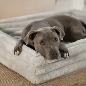 Bildschirmfoto-2026-02-15-um-11.41.45-600x454