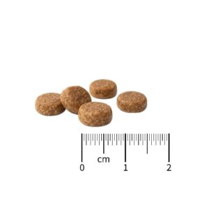 kyli-basic-cat-everyday-with-fish-10-kg-4361-2
