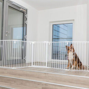 PHO_PRO_DOG_39464-2__23SALL__23AWK__23V1.jpg