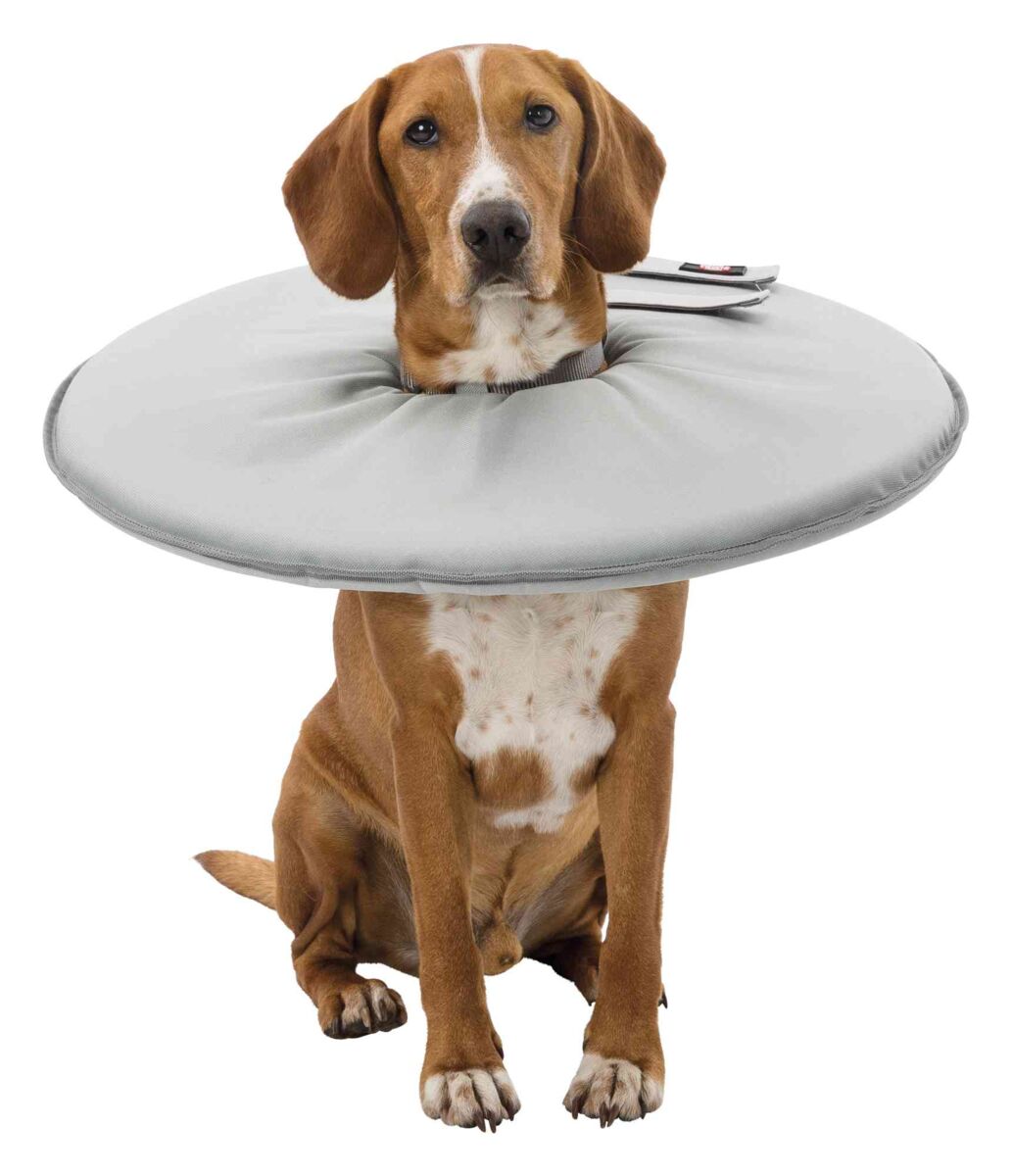 PHO_PRO_DOG_CLIP_19421-19422-19423-19424-19425-19426-19427-2__23SALL__23AWK__23V1.jpg PHO_PRO_DOG_CLIP_19421-19422-19423-19424-19425-19426-19427-2__23SALL__23AWK__23V1.jpg