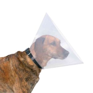 PHO_PRO_DOG_CLIP_19480-19481-19482-19482-19484-19485-19486-1__23SALL__23AWK__23V1_9f04da20-38d1-4bfc-82f6-ddbd34b28bf3.jpg