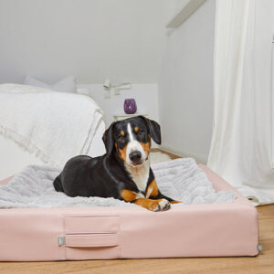 ammi for dogs® orthopädisches Hundebett ammi®Bed Soft Rosé
