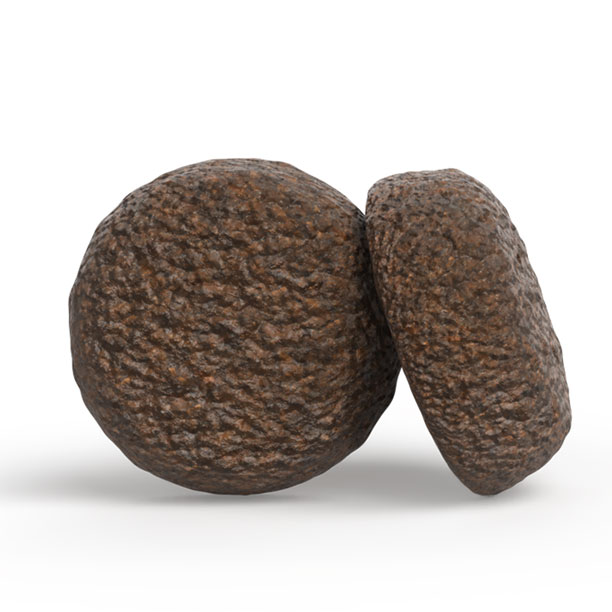 Josera Junior Youngstar Kroketten Josera Junior Youngstar Kroketten