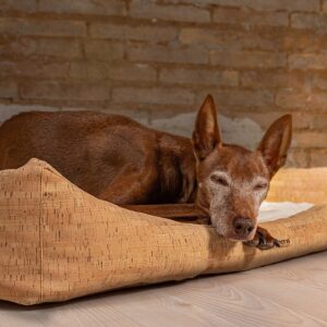 ammi for dogs® Korkhundebett Nubo orthopädisch