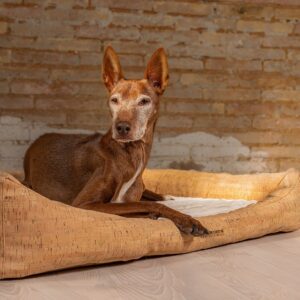 ammi for dogs® Korkhundebett Nubo orthopädisch