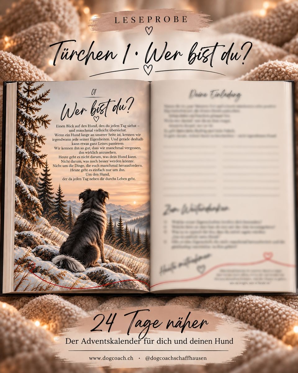24-tage-naeher-adventskalender-leseprobe 24-tage-naeher-adventskalender-leseprobe