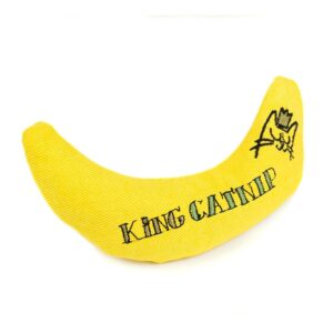 KC1000