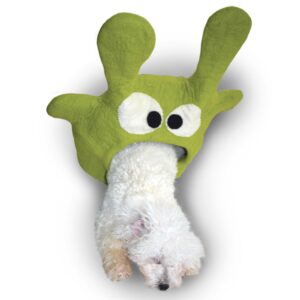 Monster_Green_Hairball-copy-scaled-1.jpg